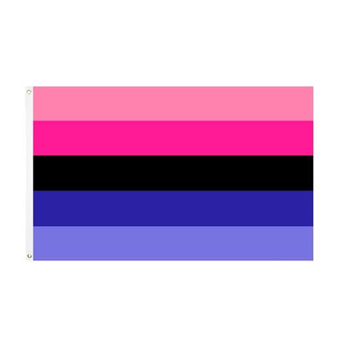 omni sexuality flag|Omnisexual 